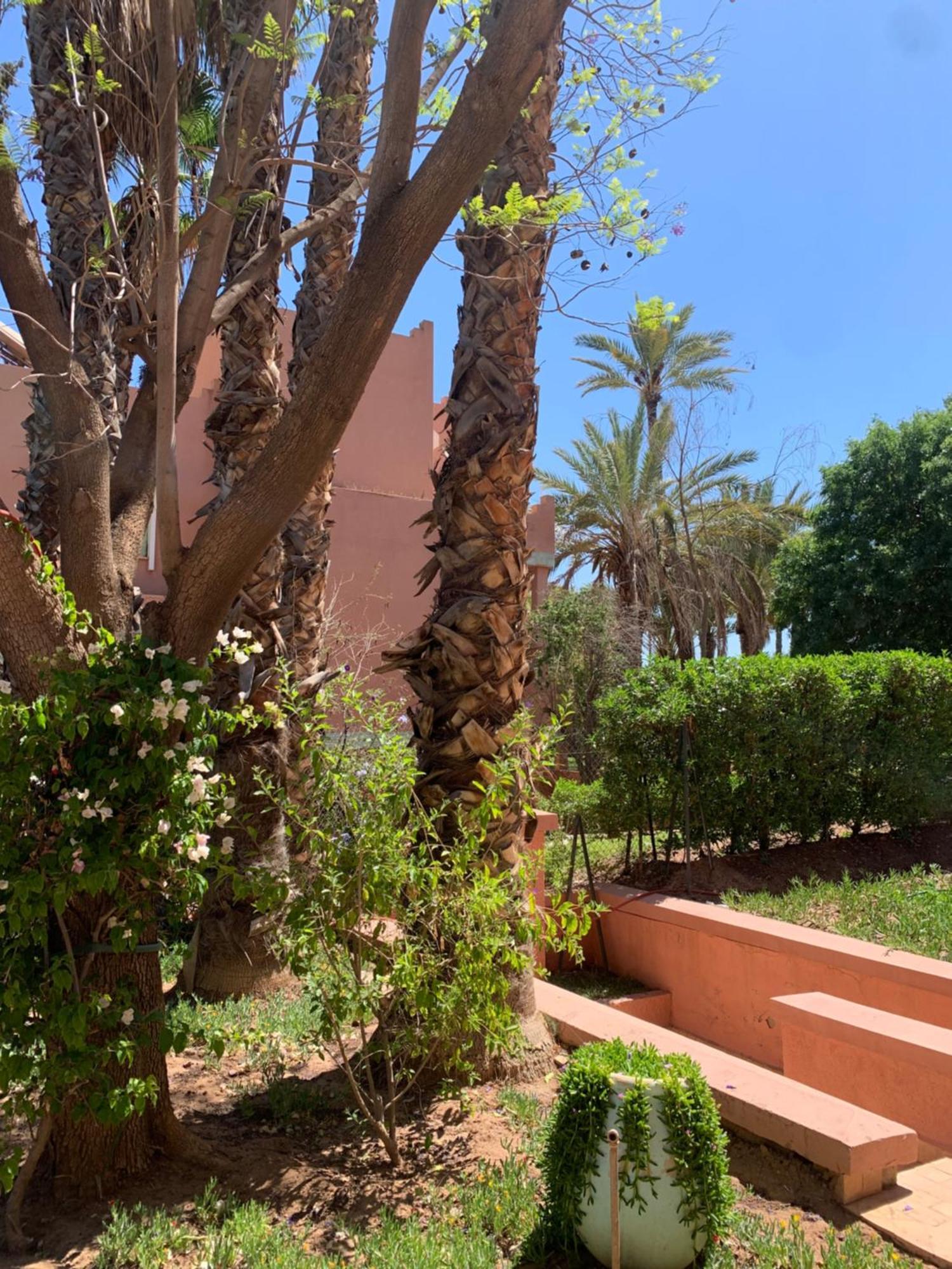 Villa Avec Piscine Privatisee A La Palmeraie Marrakesh Luaran gambar