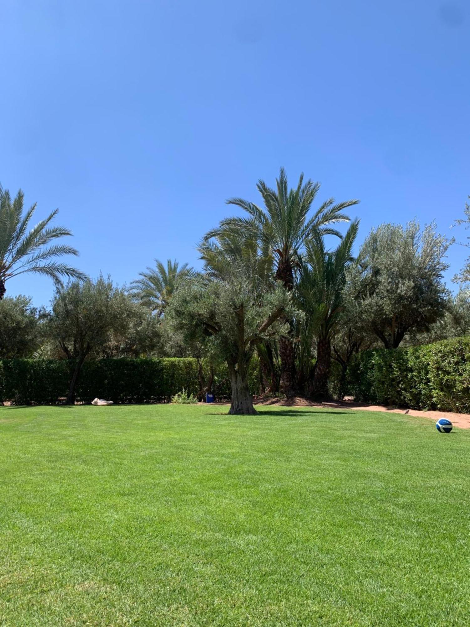 Villa Avec Piscine Privatisee A La Palmeraie Marrakesh Luaran gambar