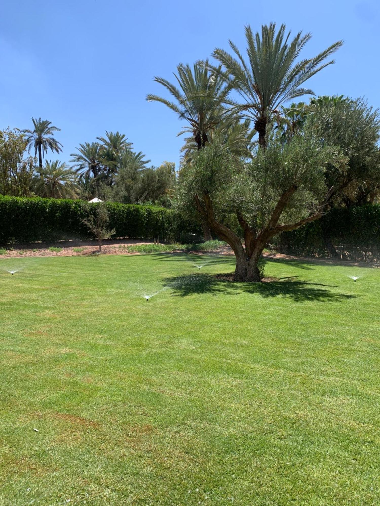 Villa Avec Piscine Privatisee A La Palmeraie Marrakesh Luaran gambar