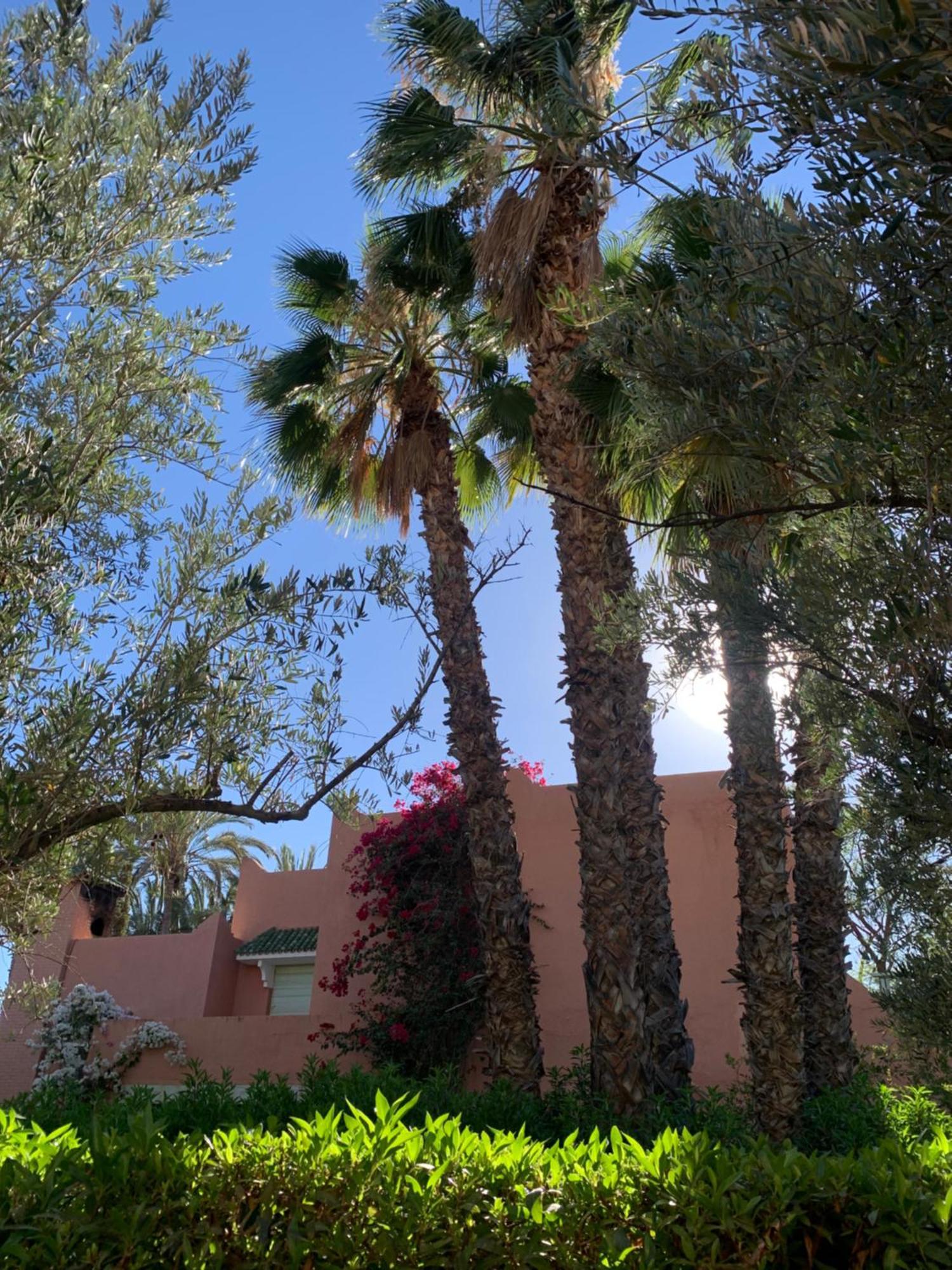 Villa Avec Piscine Privatisee A La Palmeraie Marrakesh Luaran gambar
