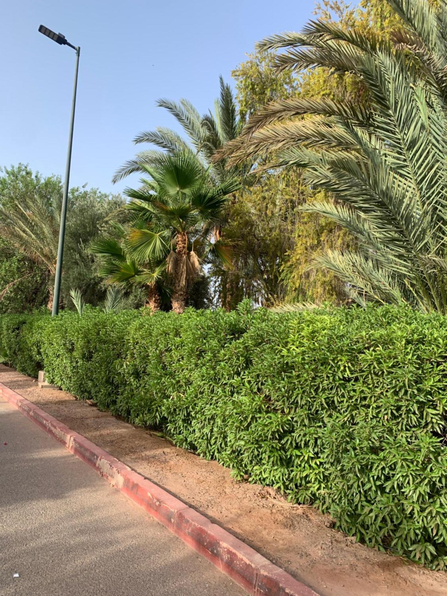 Villa Avec Piscine Privatisee A La Palmeraie Marrakesh Luaran gambar